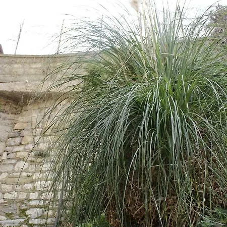 Pensión Punto Relax 3*